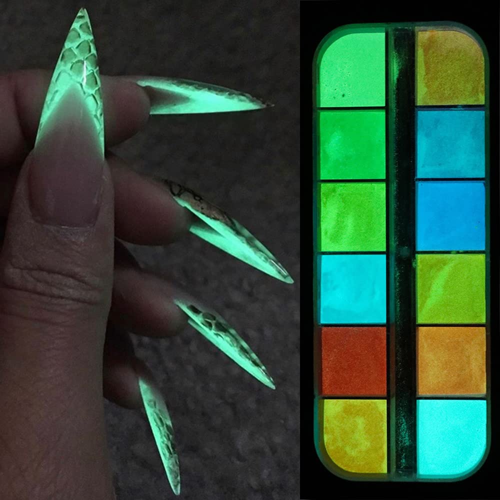 S.A.V.I 12 Grids Nail Glitter Powder Box, Nail Glow in The Dark, Luminous Nail Art