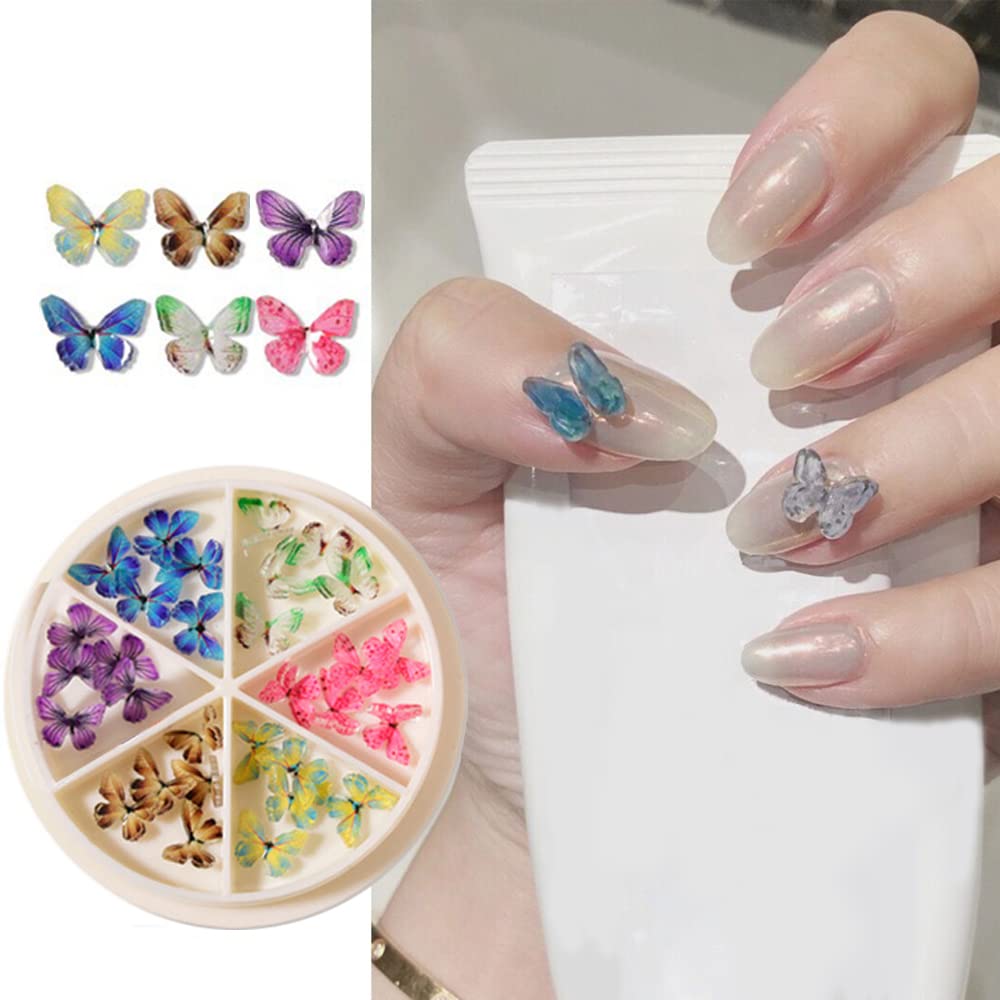 S.A.V.I 3D Butterfly Acrylic Nail Art Wheel 30Pcs. 6 Grid - Nail Decoration Perfect Accessory for Salon  DIY Nail Art Design